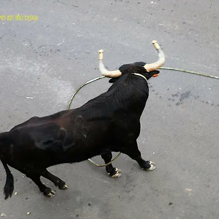 Casa Do Ti' Marrao Dom wakacyjny *