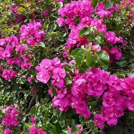 Casa Do Ti' Marrao Сasa de vacaciones *