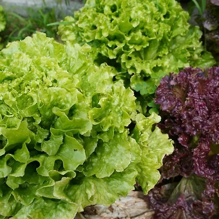 Casa Do Ti' Marrao Praia da Vitória