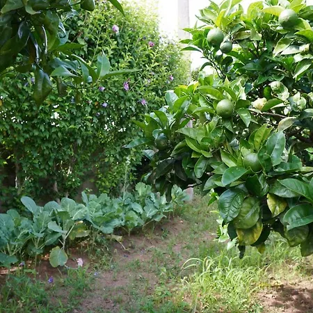 Casa Do Ti' Marrao *