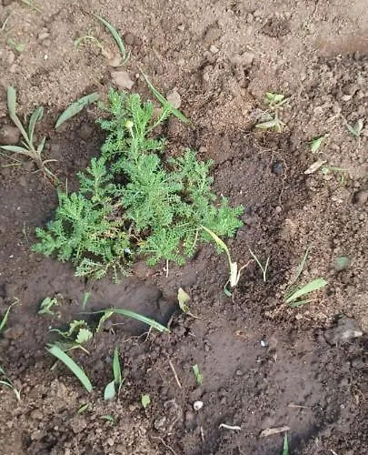 Casa Do Ti' Marrao Ferienhaus