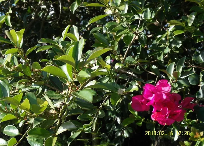 Ferienhaus Casa Do Ti' Marrao