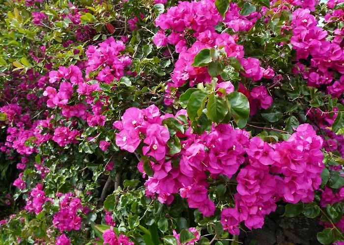 Casa Do Ti' Marrao Ferienhaus *