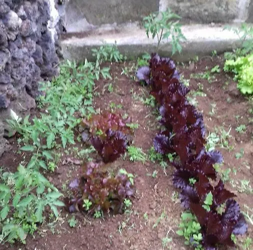 Casa Do Ti' Marrao Ferienhaus Praia da Vitória