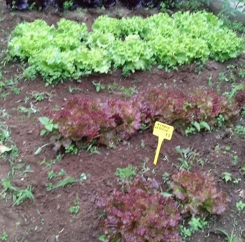 Casa Do Ti' Marrao Ferienhaus