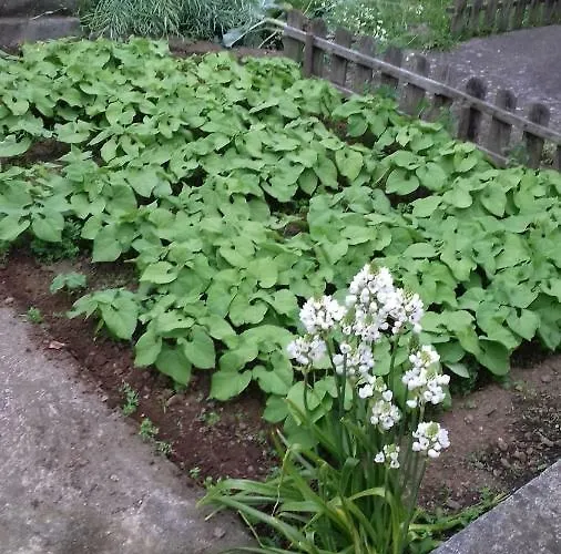 Casa Do Ti' Marrao Ferienhaus