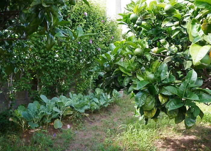 Casa Do Ti' Marrao *