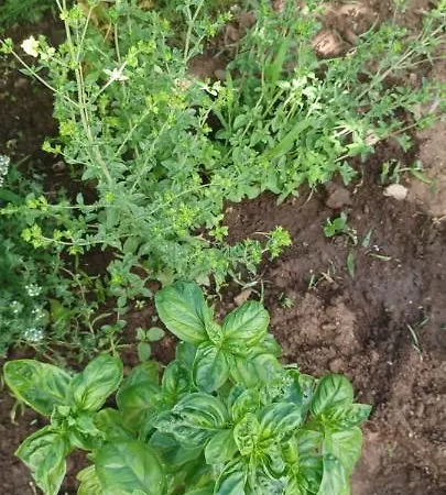 Casa Do Ti' Marrao Holiday home *