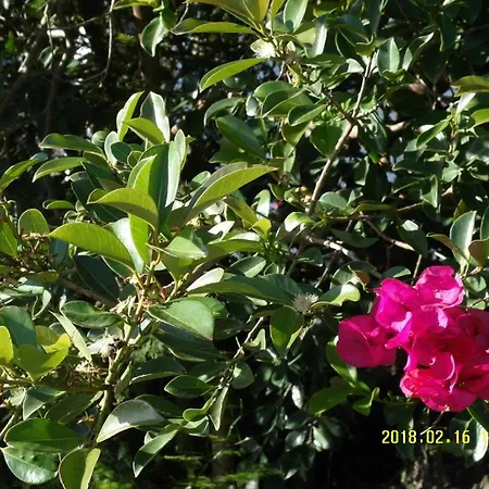 Prázdninový dům Casa Do Ti' Marrao