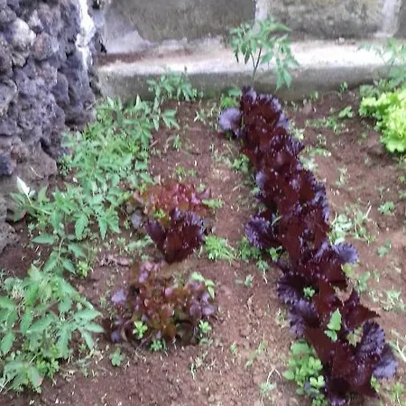 Casa Do Ti' Marrao Prázdninový dům Praia da Vitória