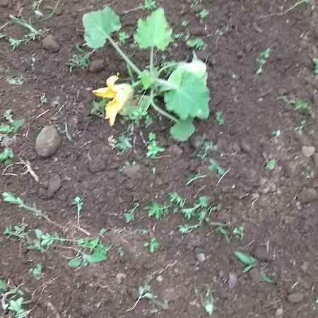 Prázdninový dům Casa Do Ti' Marrao