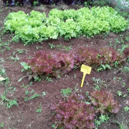 Casa Do Ti' Marrao Holiday home