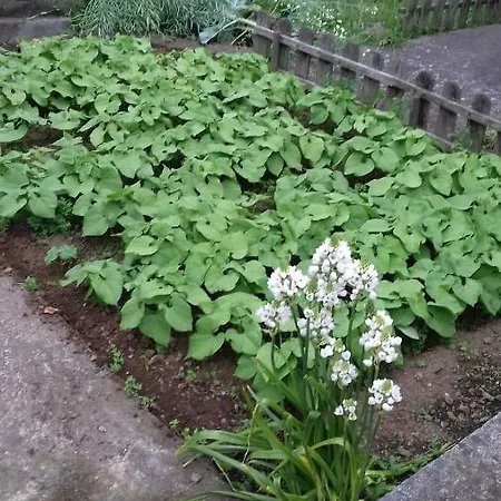 Casa Do Ti' Marrao Prázdninový dům