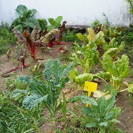 Prázdninový dům Casa Do Ti' Marrao *