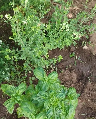 Casa Do Ti' Marrao Holiday home *