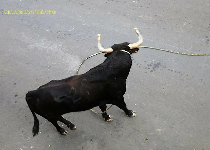 Casa Do Ti' Marrao Holiday home *