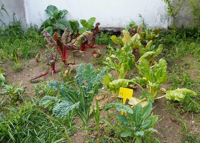 Nyaraló Casa Do Ti' Marrao *